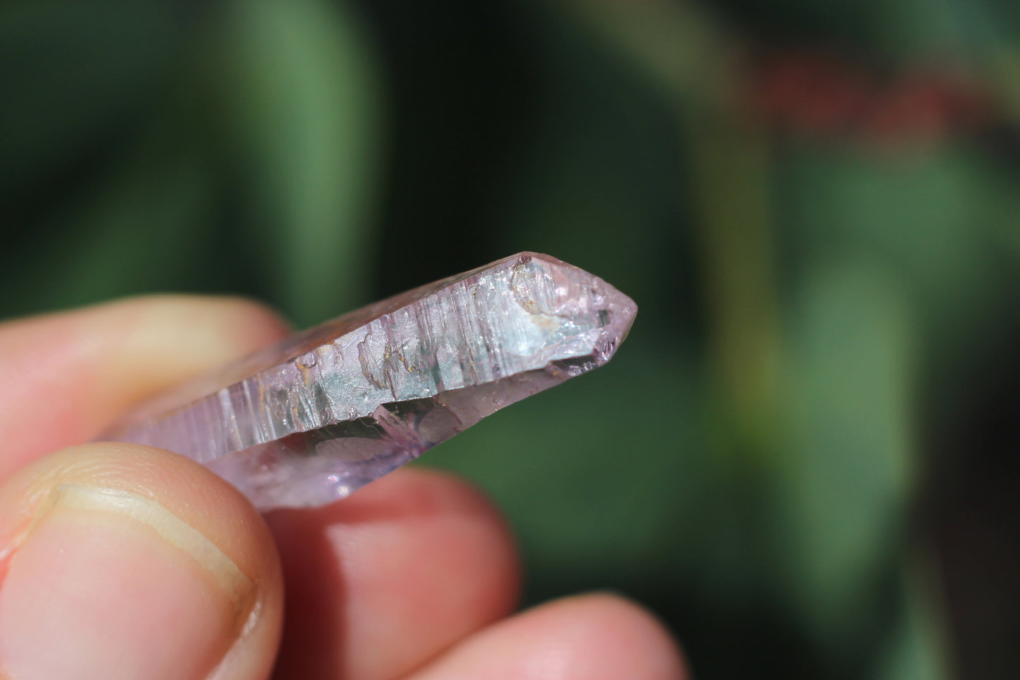 Vera Cruz Amethyst