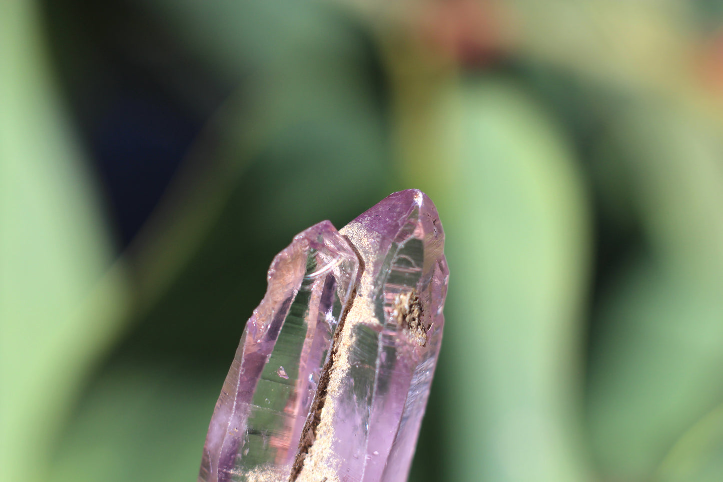 Vera Cruz Amethyst