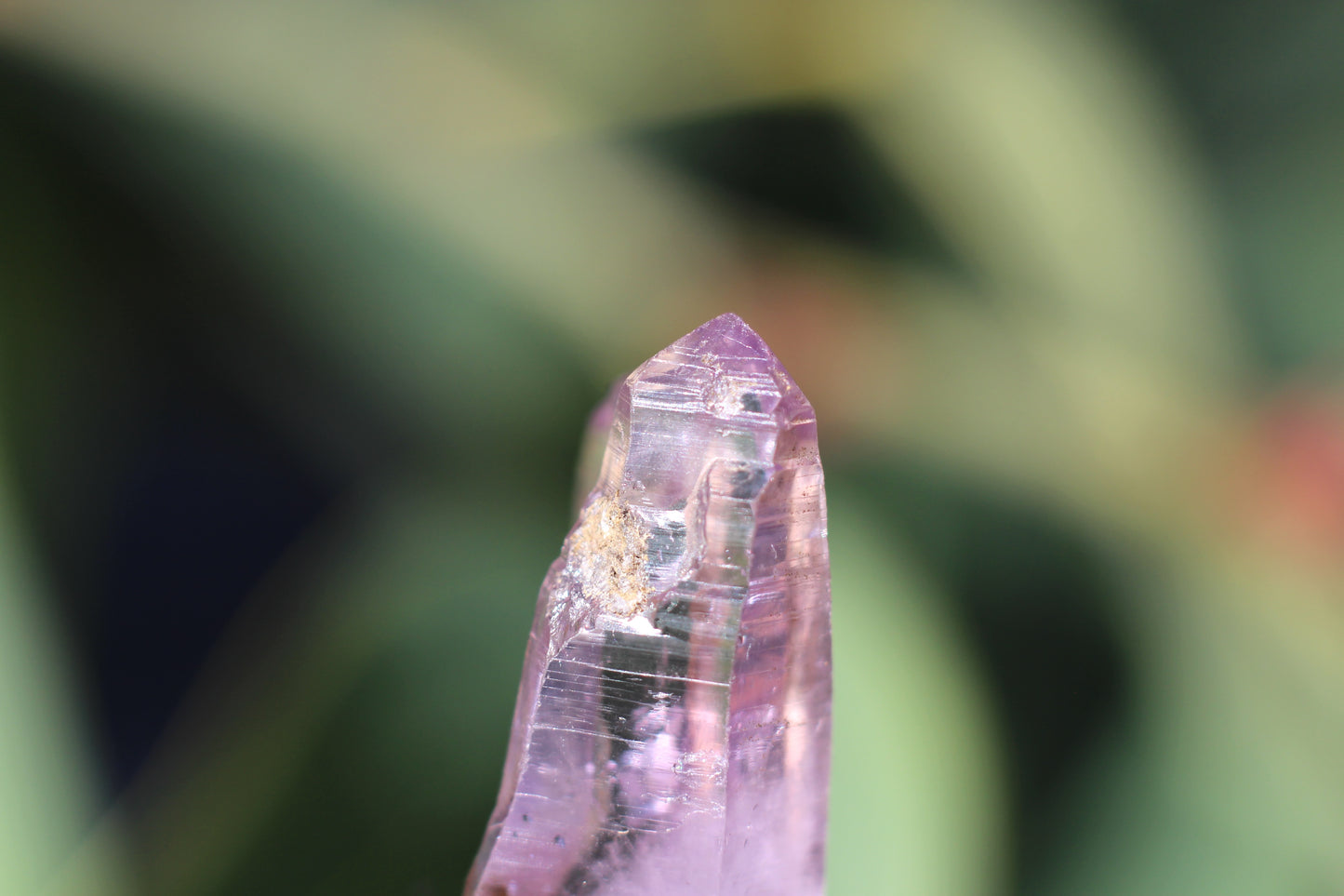 Vera Cruz Amethyst