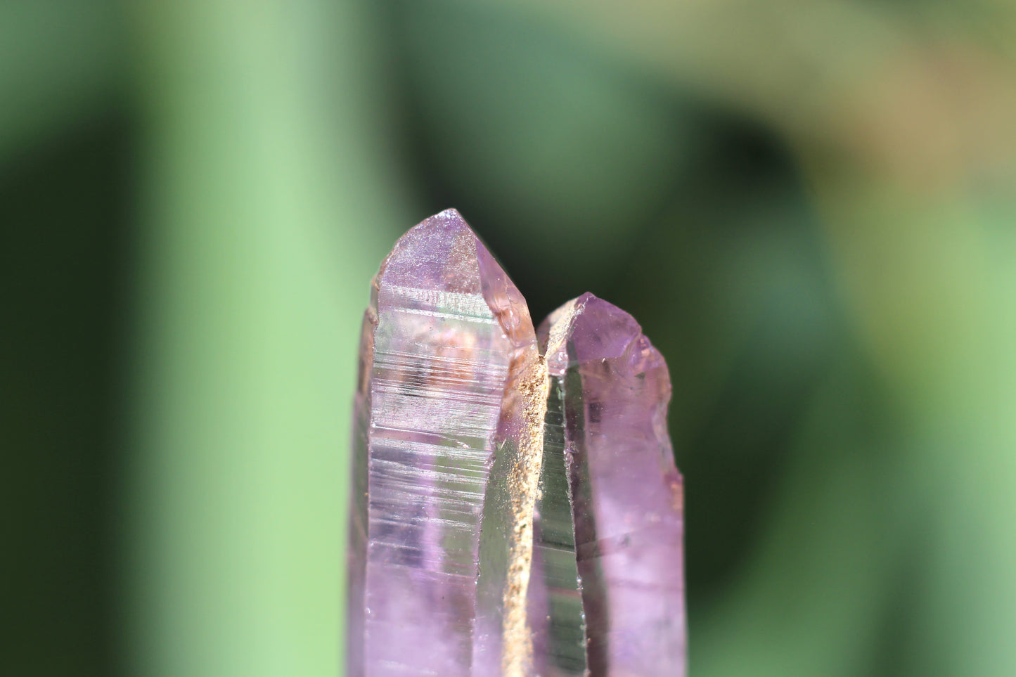 Vera Cruz Amethyst