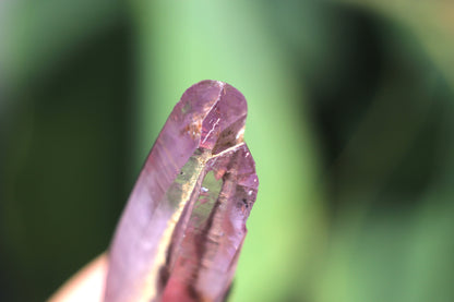 Vera Cruz Amethyst