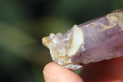 Vera Cruz Amethyst