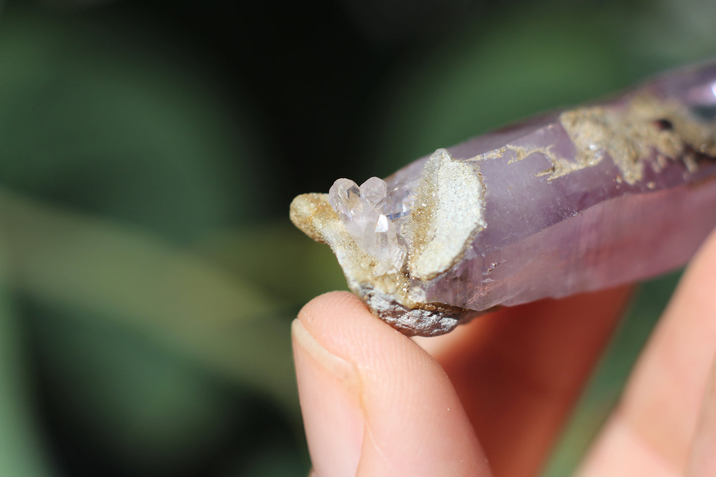 Vera Cruz Amethyst