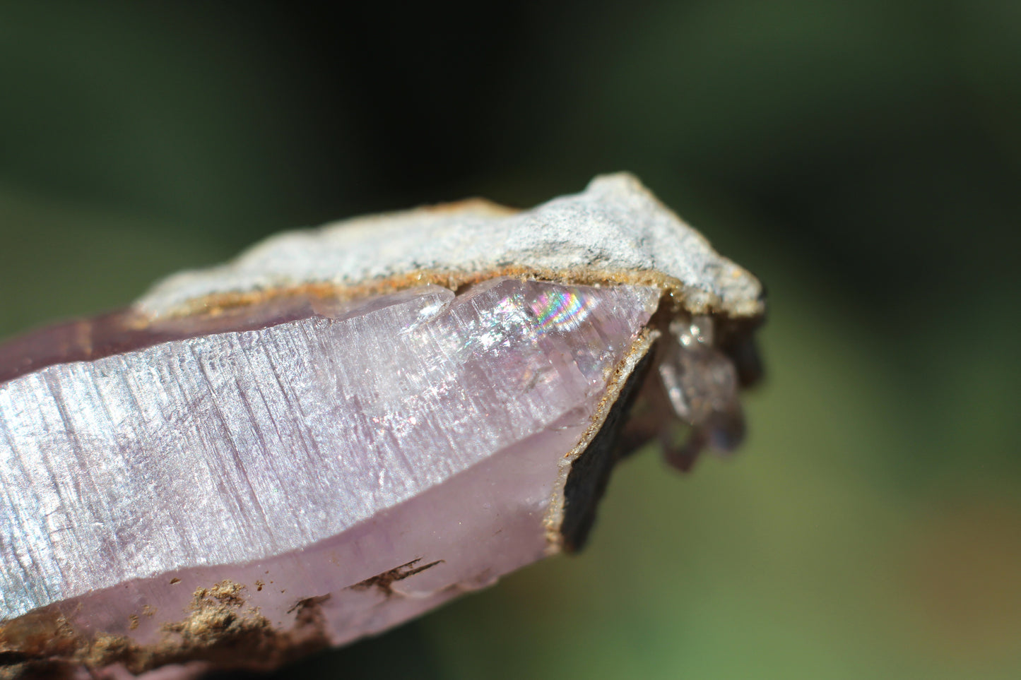 Vera Cruz Amethyst