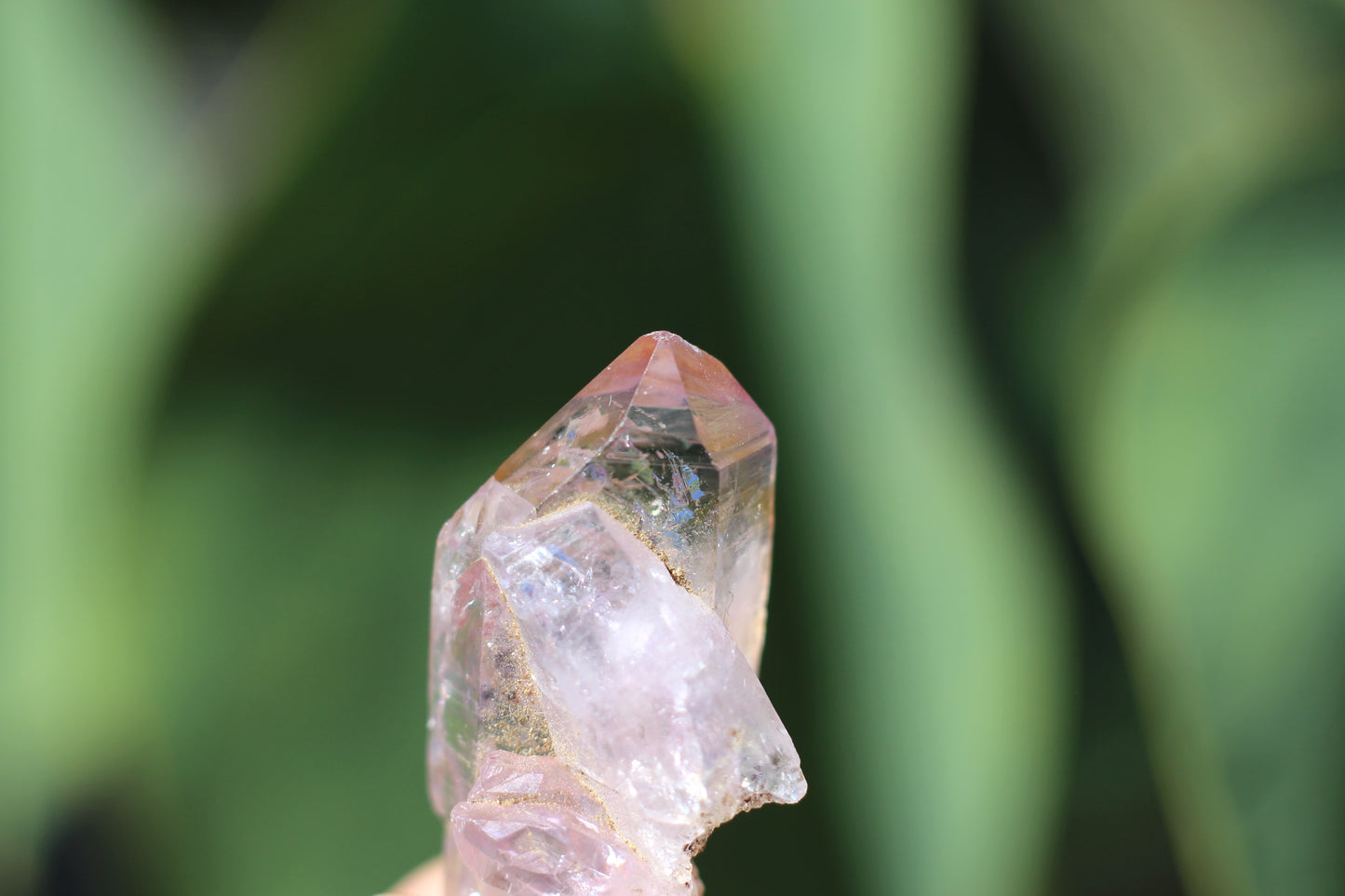 Vera Cruz Amethyst