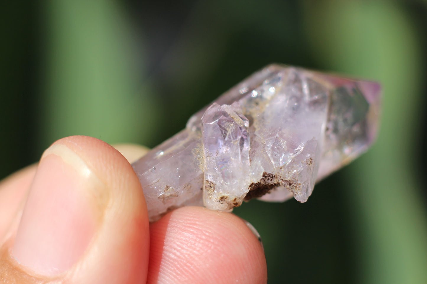 Vera Cruz Amethyst