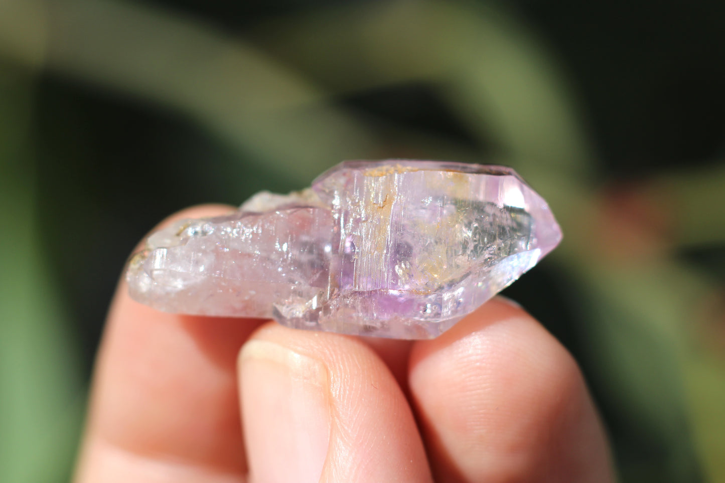 Vera Cruz Amethyst