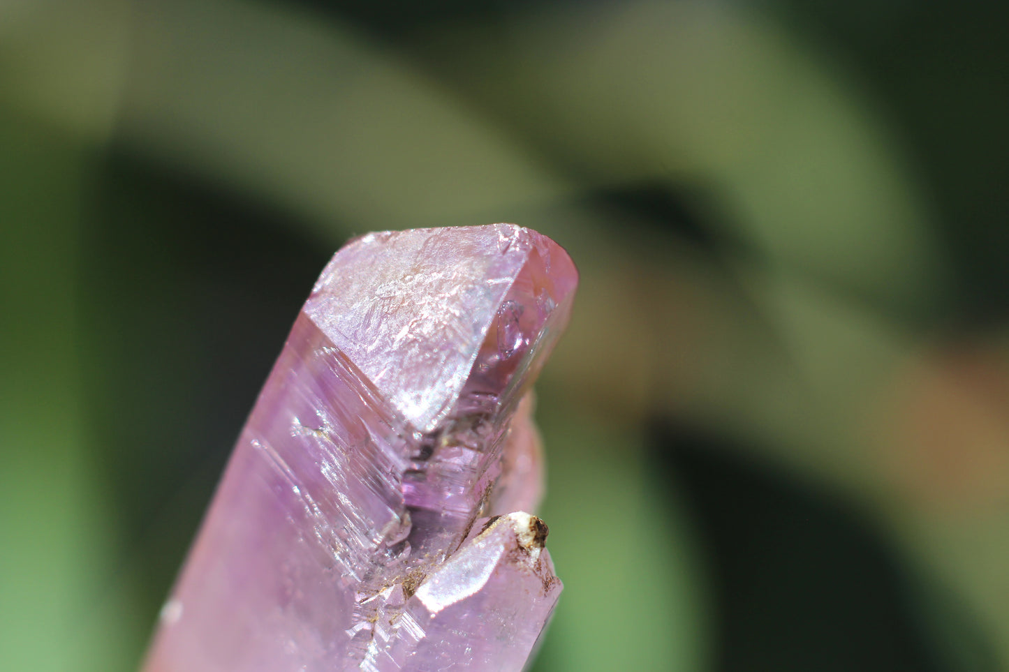 Vera Cruz Amethyst