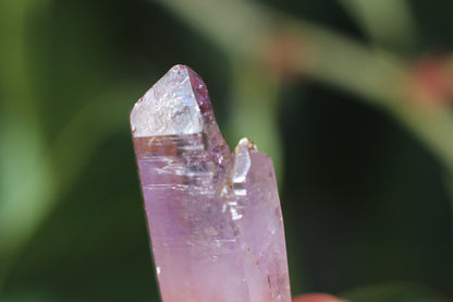 Vera Cruz Amethyst