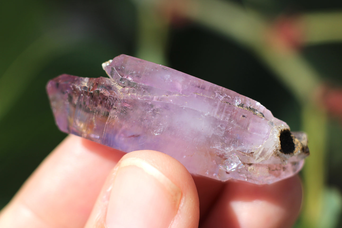 Vera Cruz Amethyst