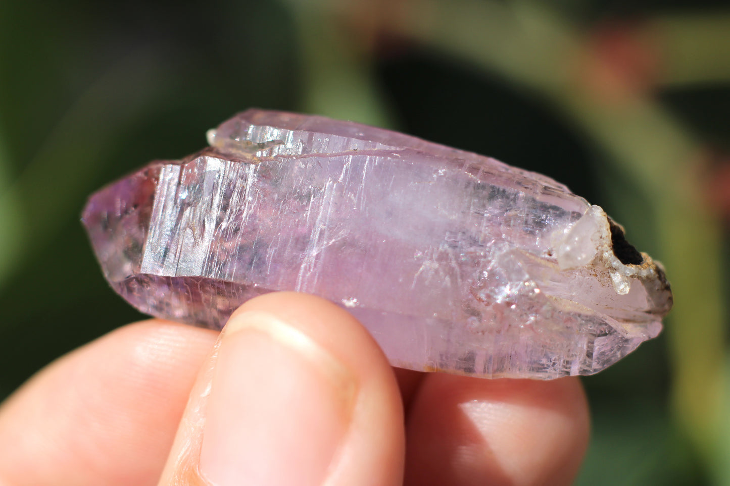 Vera Cruz Amethyst