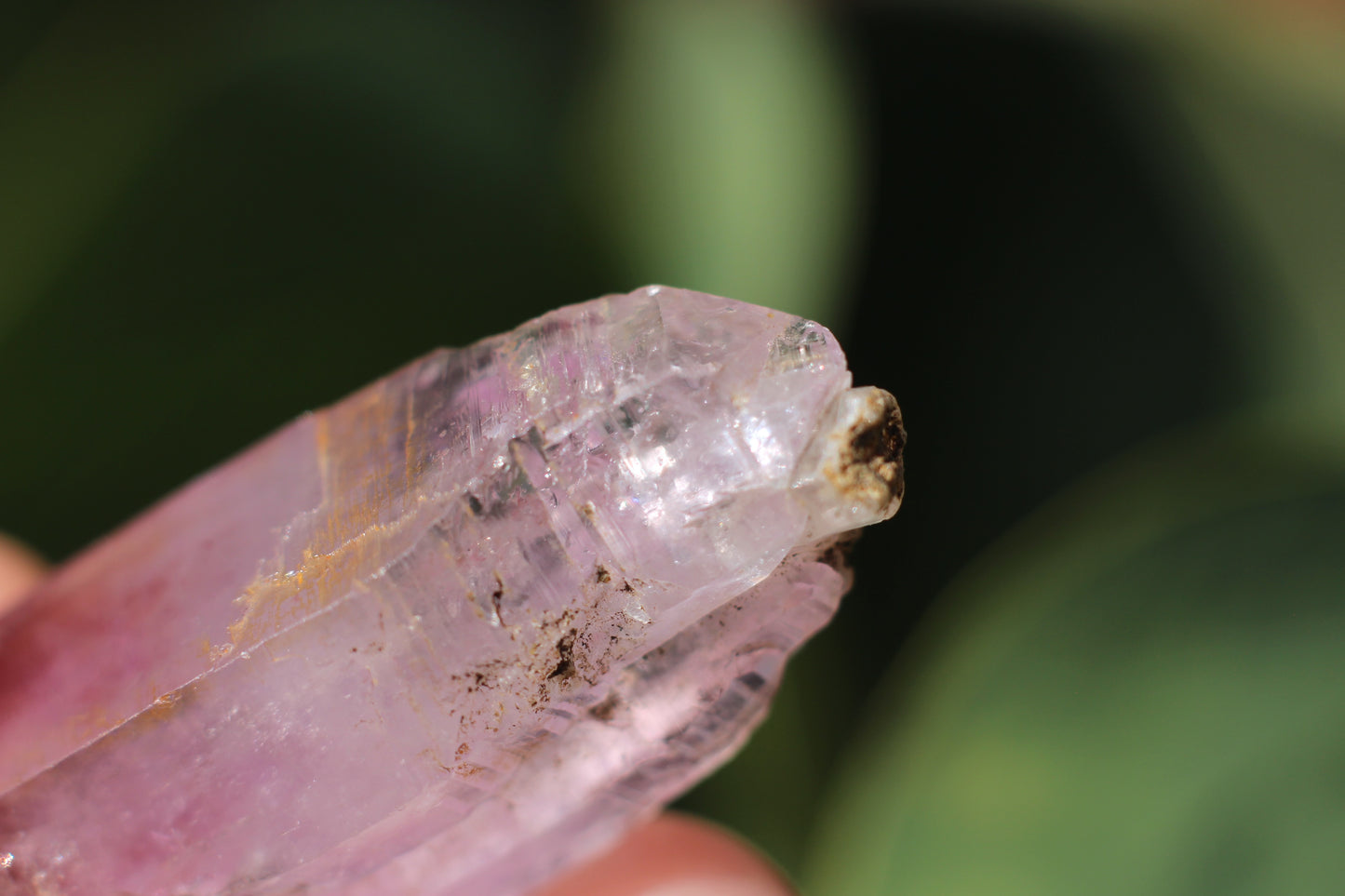 Vera Cruz Amethyst