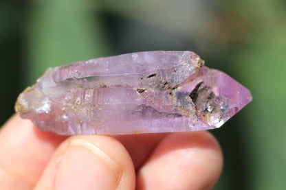 Vera Cruz Amethyst