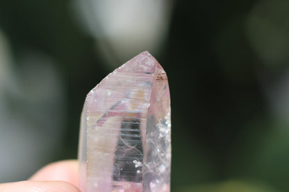 Vera Cruz Amethyst