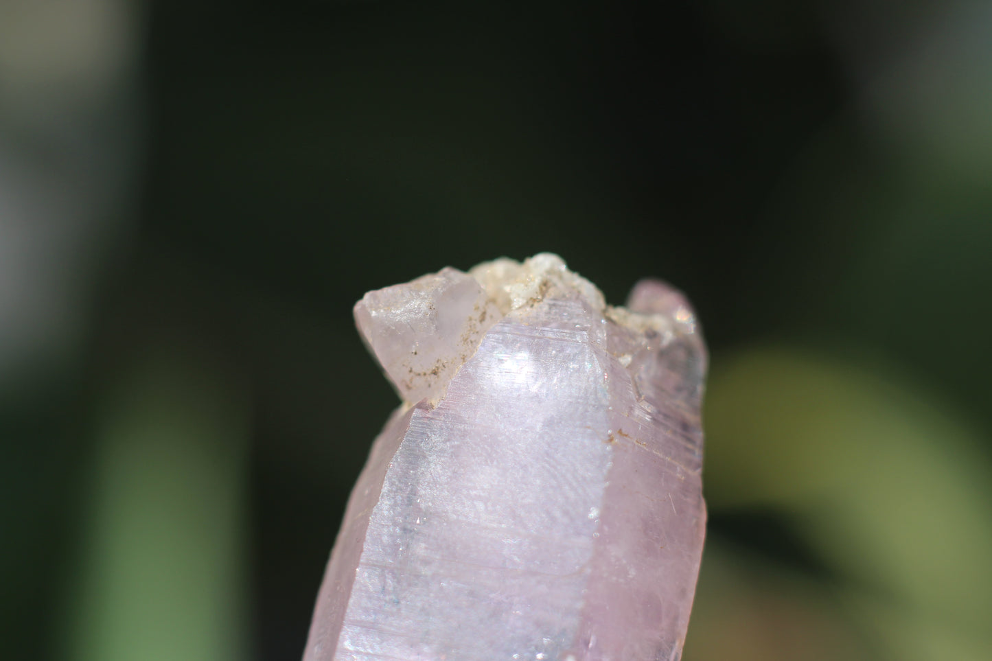 Vera Cruz Amethyst