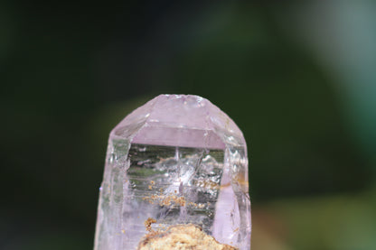 Vera Cruz Amethyst