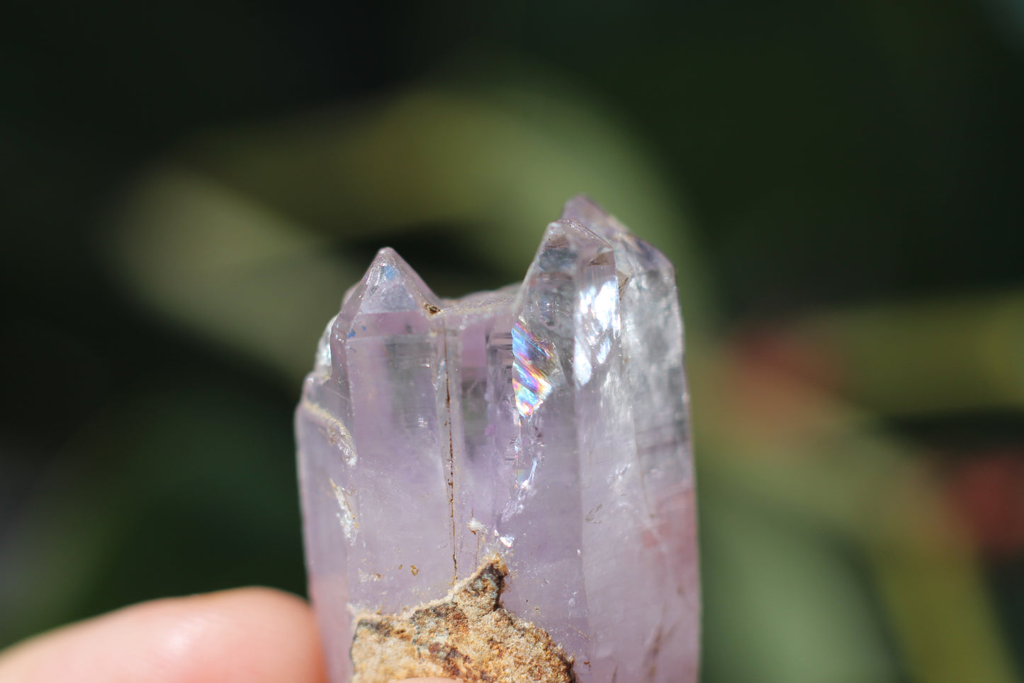 Vera Cruz Amethyst