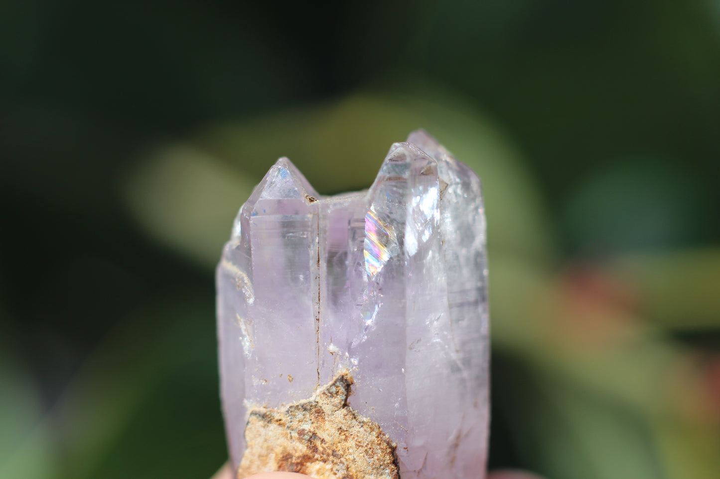 Vera Cruz Amethyst