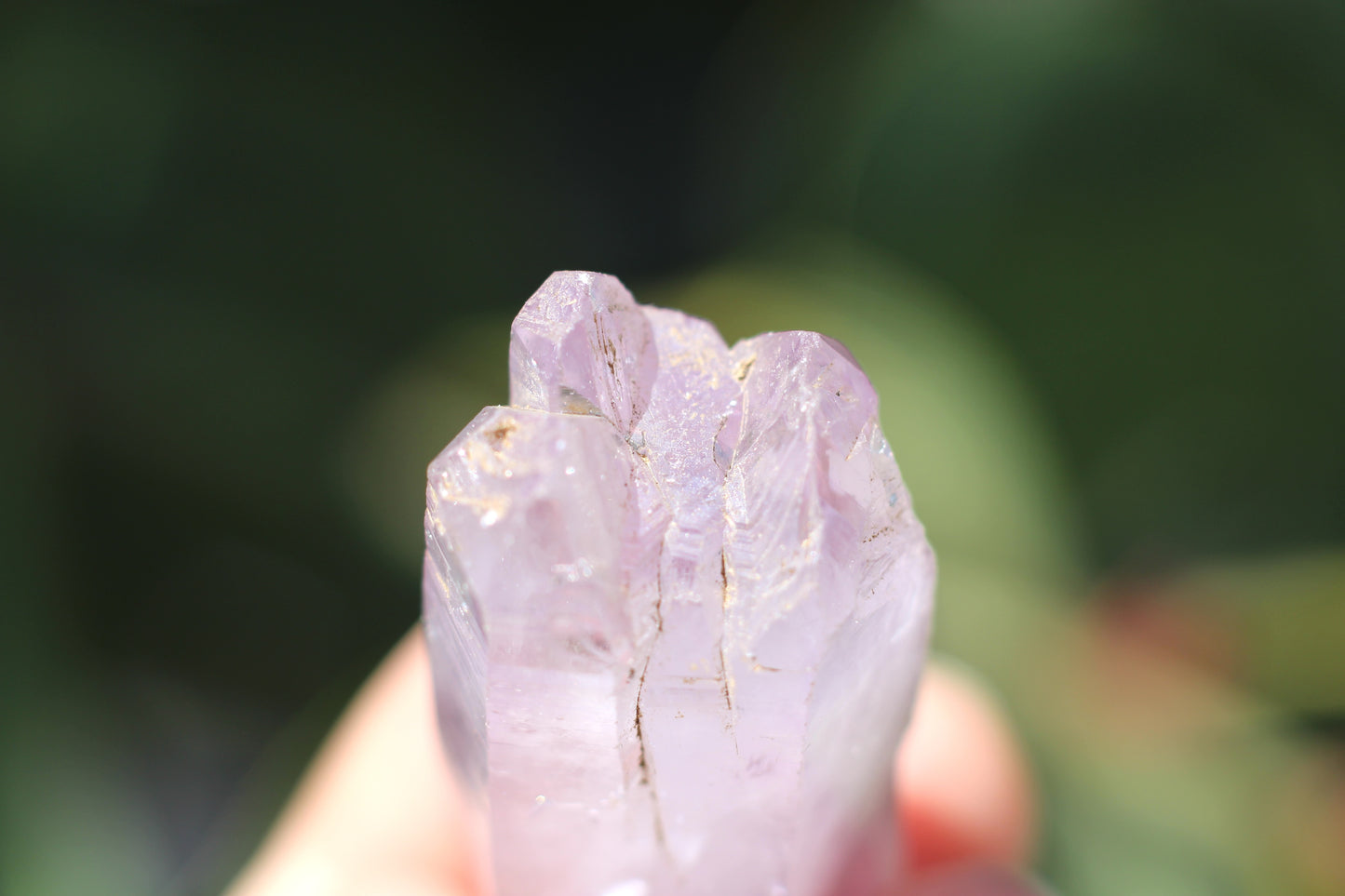 Vera Cruz Amethyst