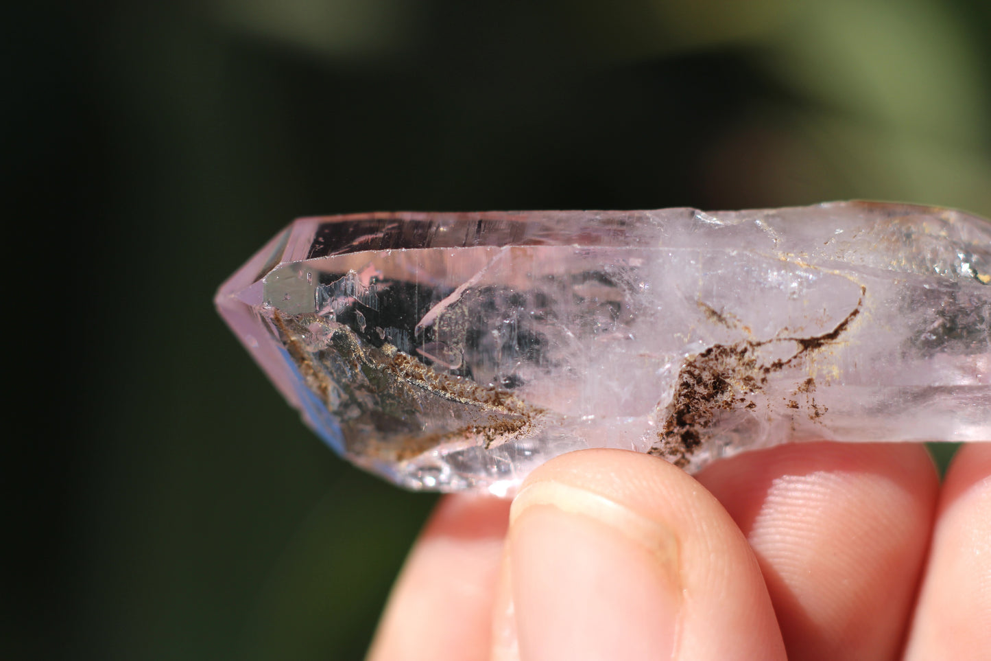 Vera Cruz Amethyst