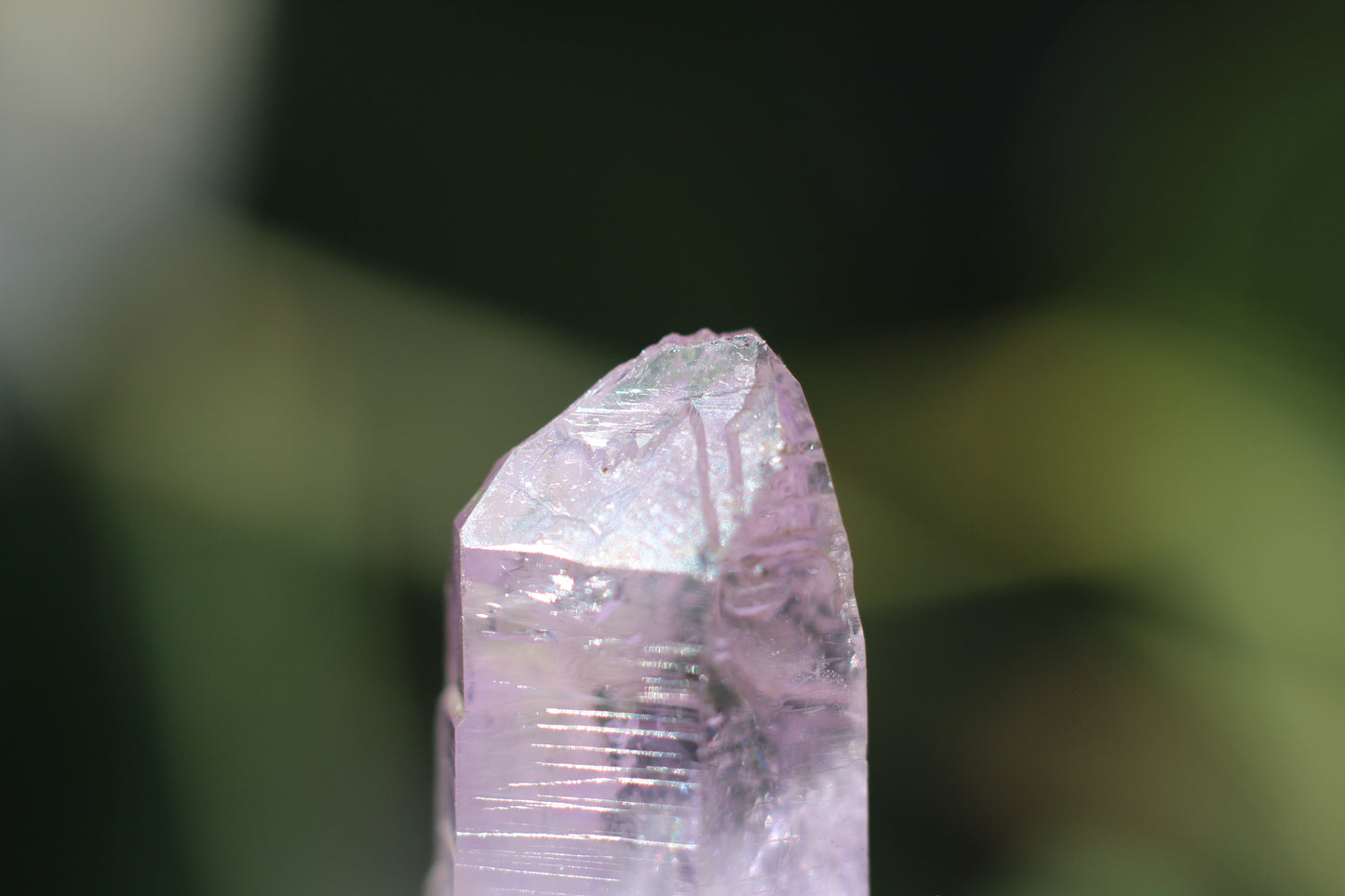 Vera Cruz Amethyst