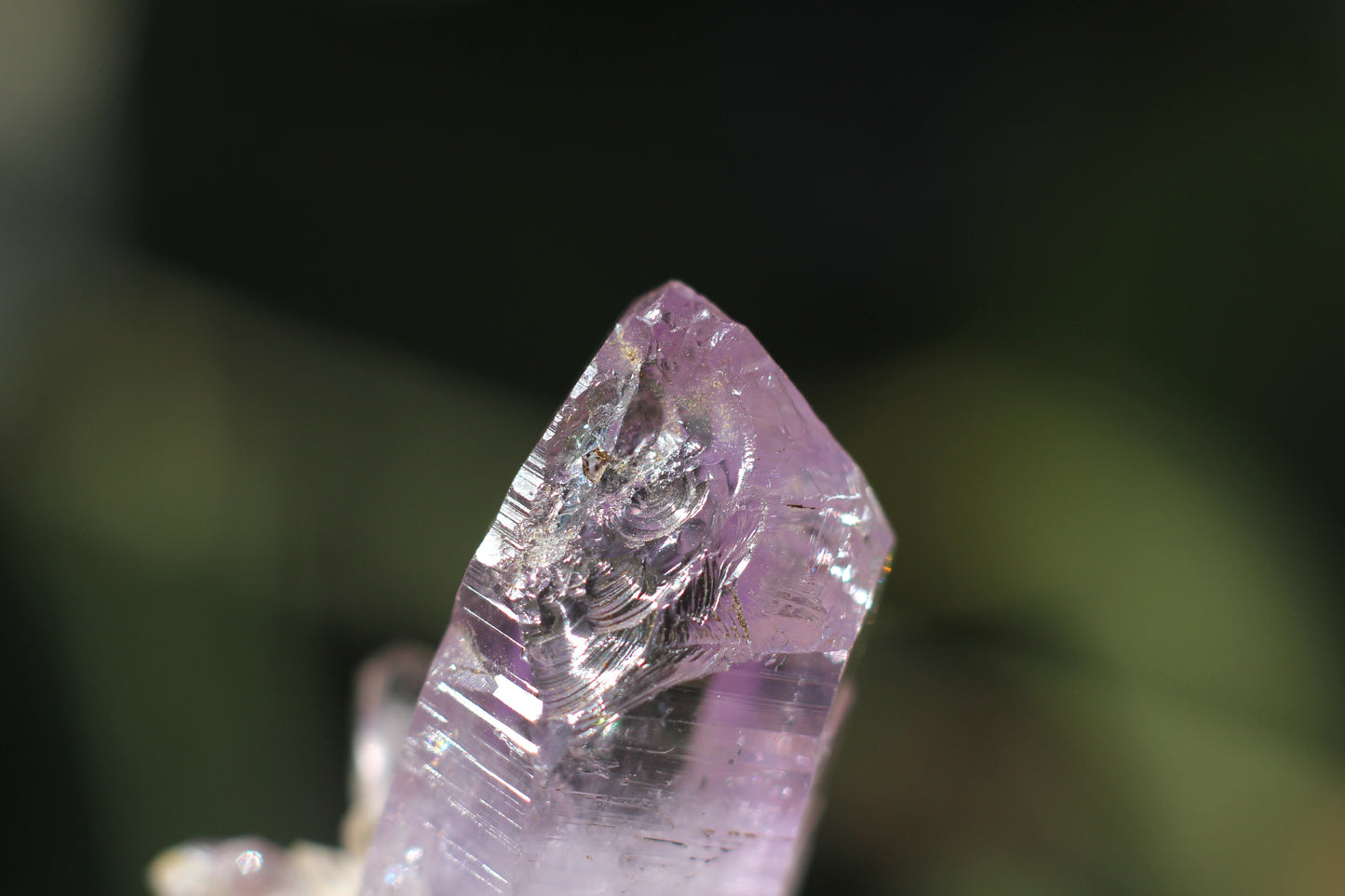 Vera Cruz Amethyst