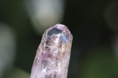 Vera Cruz Amethyst