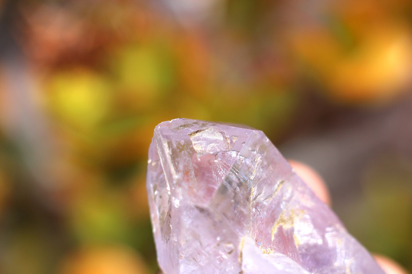 Vera Cruz Amethyst