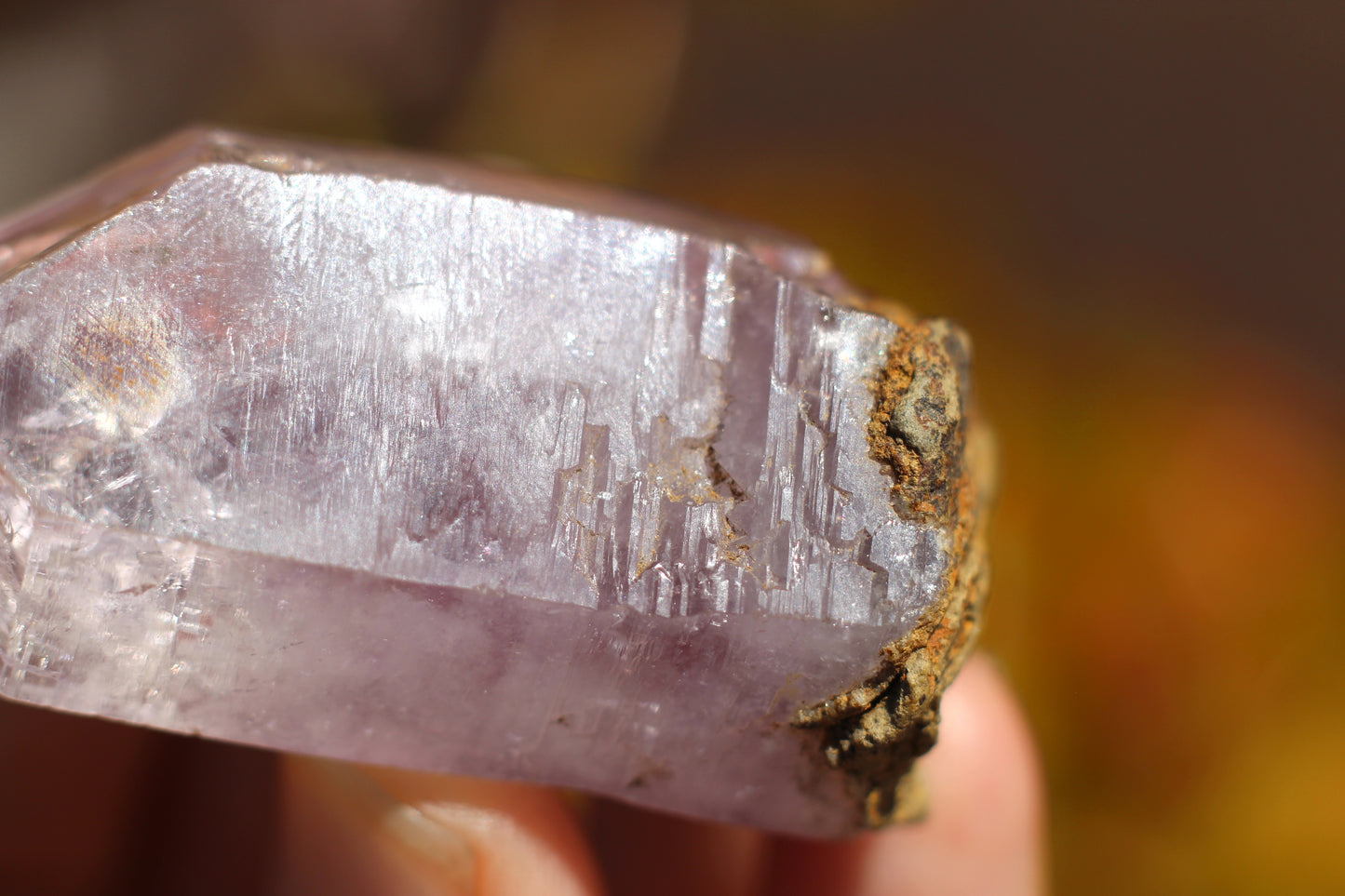 Vera Cruz Amethyst