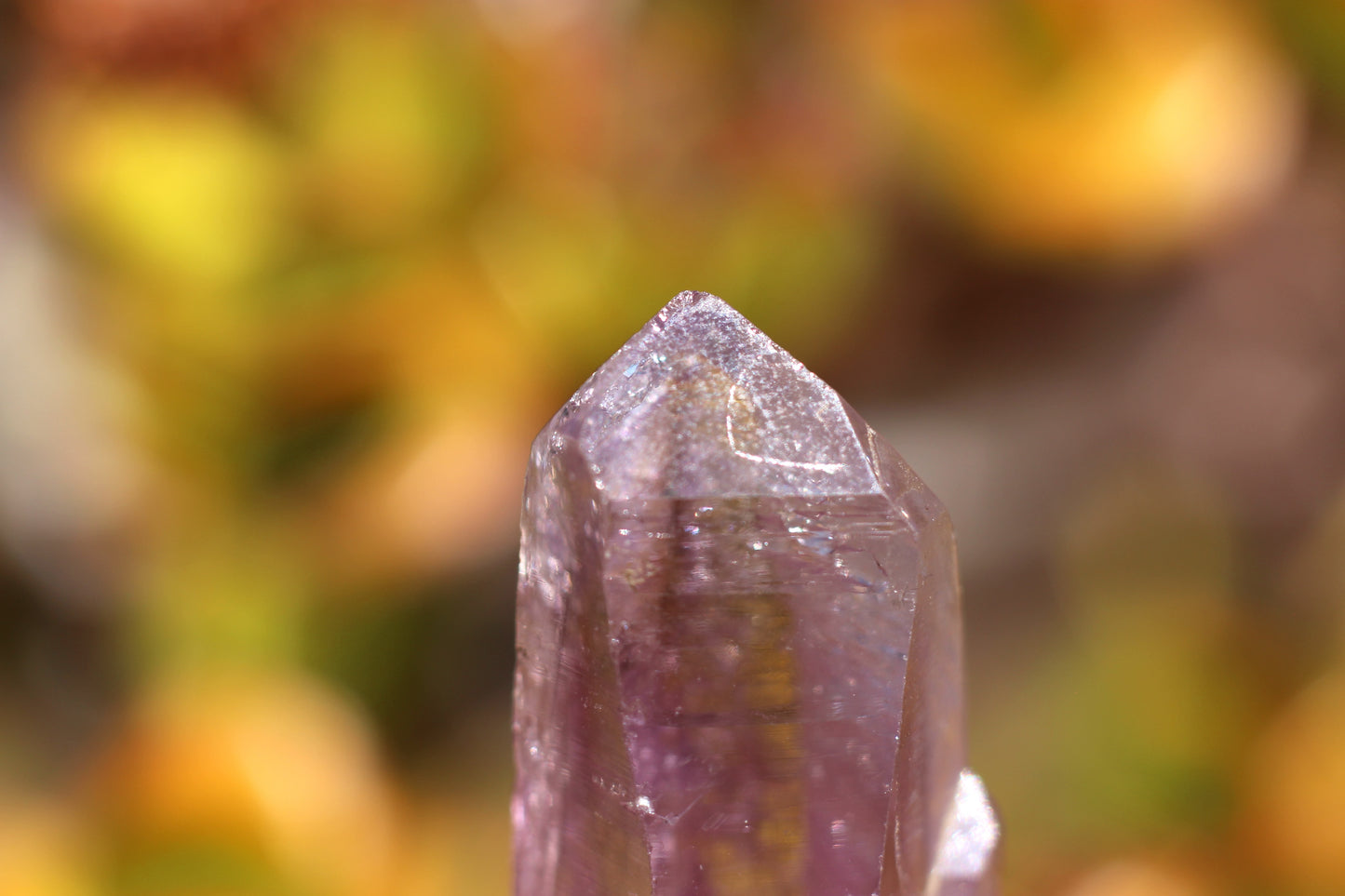 Vera Cruz Amethyst