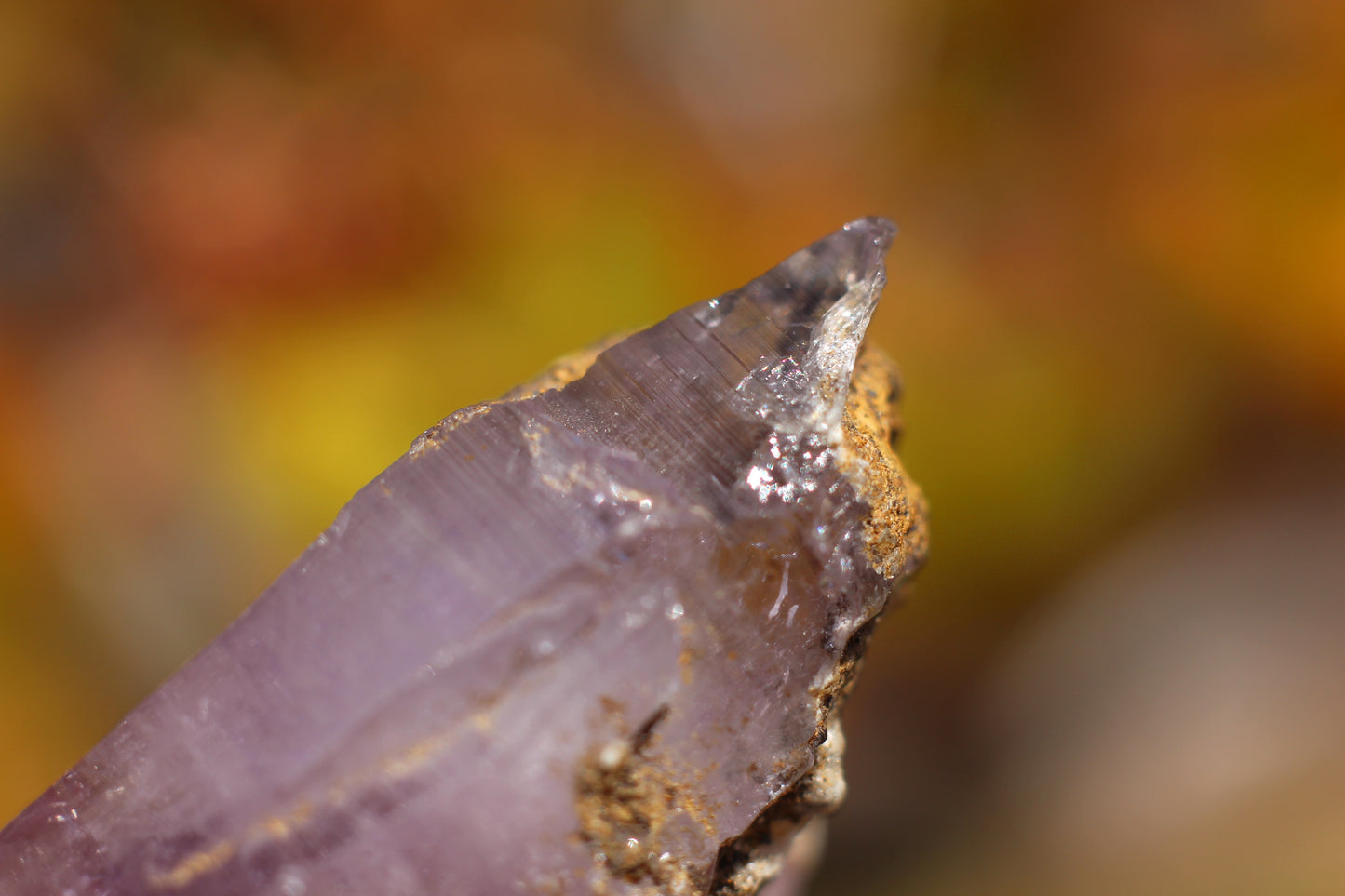 Vera Cruz Amethyst