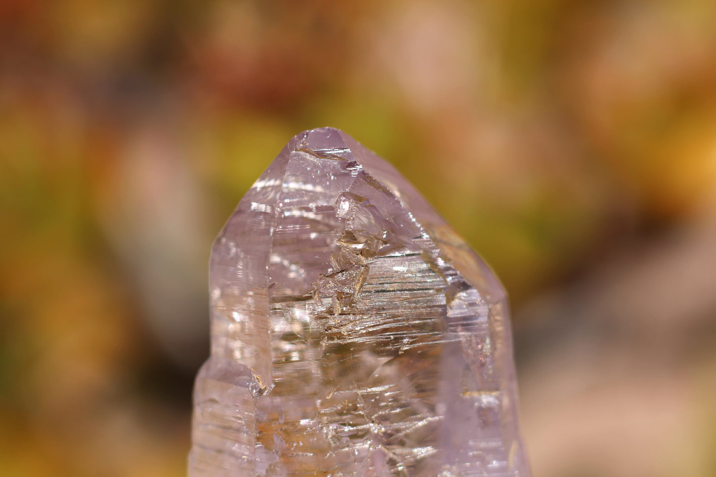 Vera Cruz Amethyst