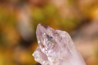 Vera Cruz Amethyst