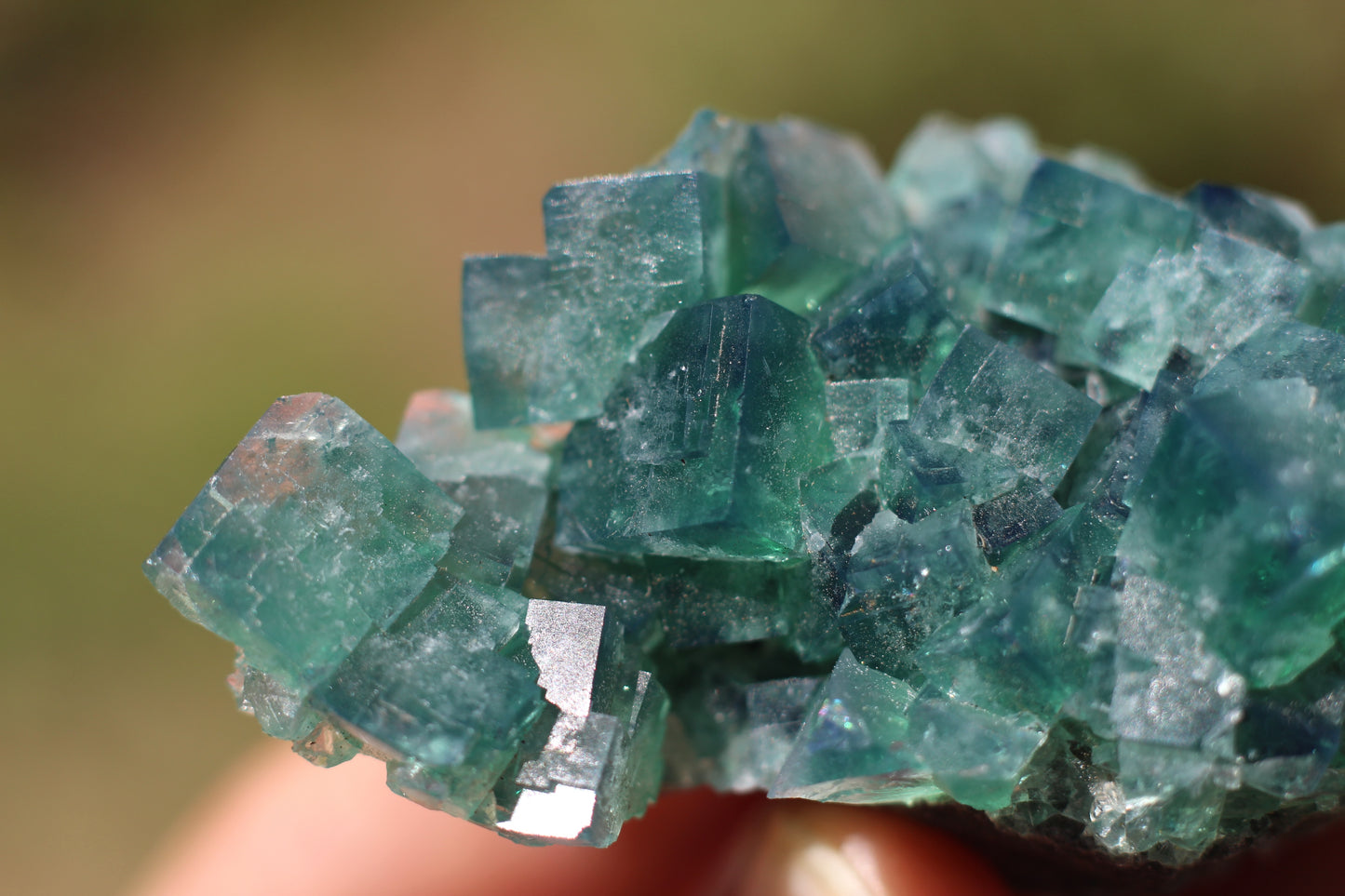 Diana Marie Green Fluorite, UV Reactive