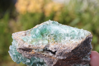 Diana Marie Green Fluorite, UV Reactive