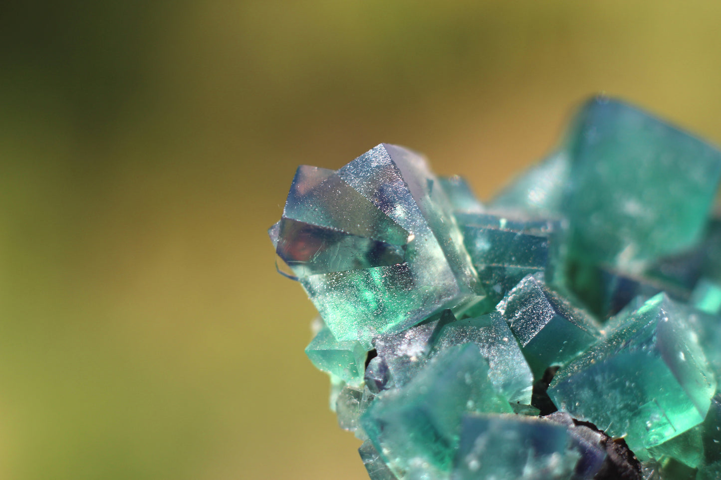 Diana Marie Green Fluorite, UV Reactive