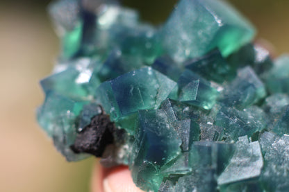 Diana Marie Green Fluorite, UV Reactive