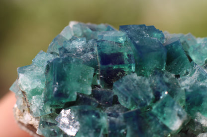 Diana Marie Green Fluorite, UV Reactive