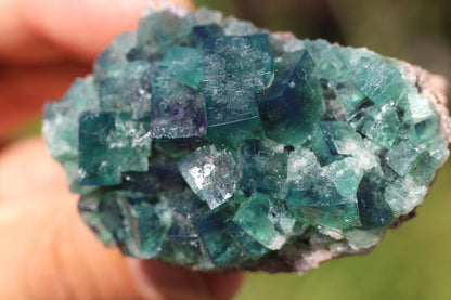 Diana Marie Green Fluorite, UV Reactive