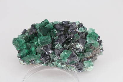 Diana Marie Green Fluorite, UV Reactive