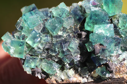 Diana Marie Green Fluorite, UV Reactive