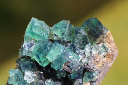 Diana Marie Green Fluorite, UV Reactive