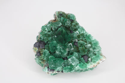 Diana Marie Green Fluorite, UV Reactive