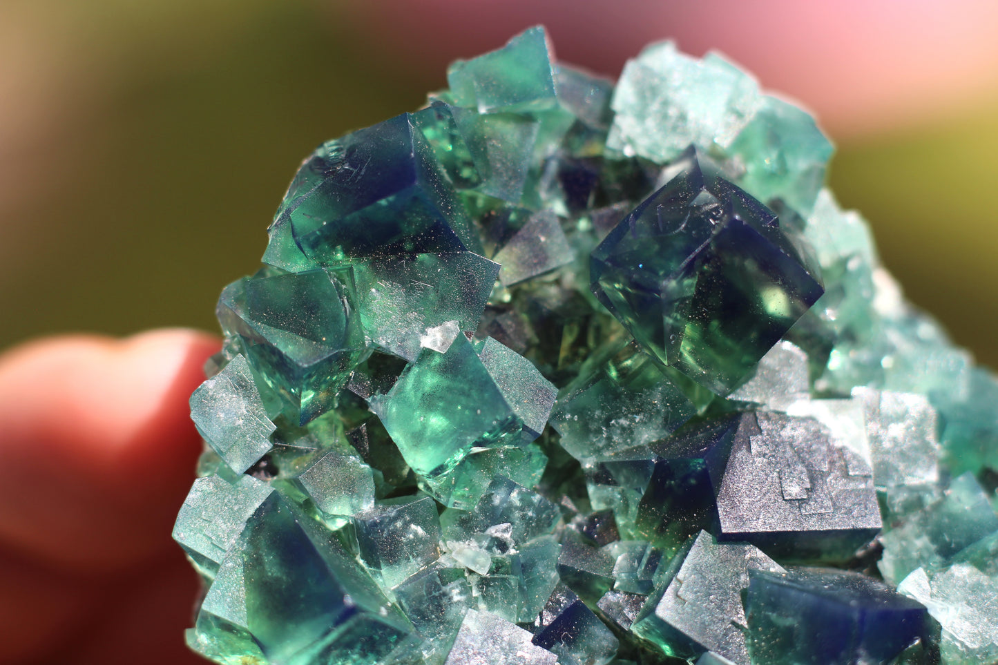 Diana Marie Green Fluorite, UV Reactive