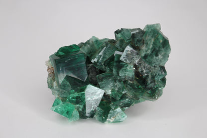 Diana Marie Green Fluorite, UV Reactive