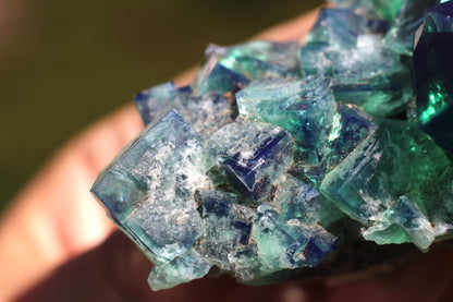 Diana Marie Green Fluorite, UV Reactive