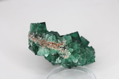 Diana Marie Green Fluorite, UV Reactive