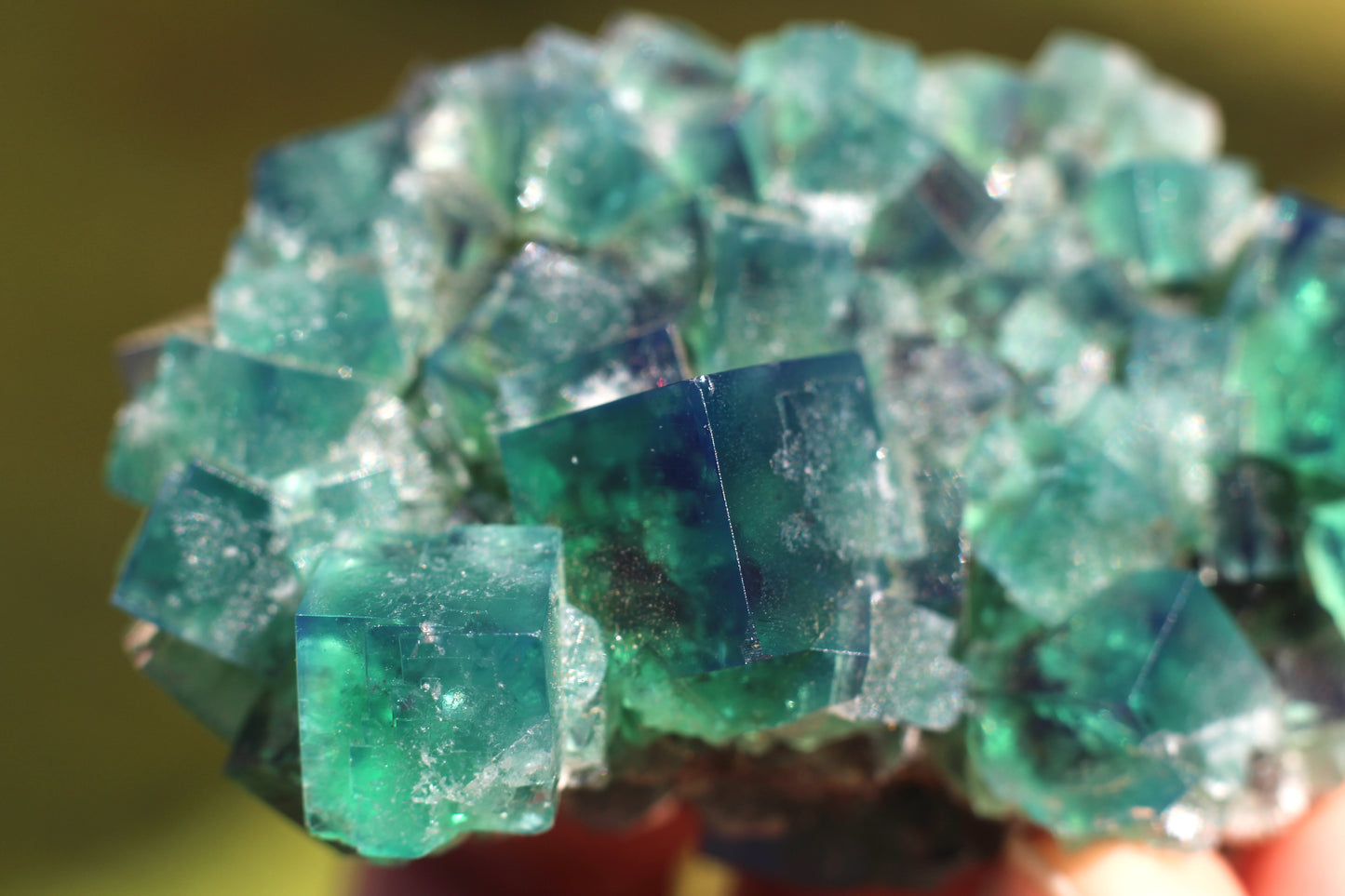 Diana Marie Green Fluorite, UV Reactive