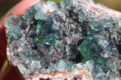 Diana Marie Green Fluorite, UV Reactive