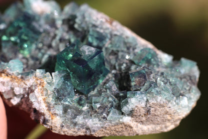 Diana Marie Green Fluorite, UV Reactive